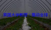 英国大学教授：推动全球能源转型，中国交出高分答卷
